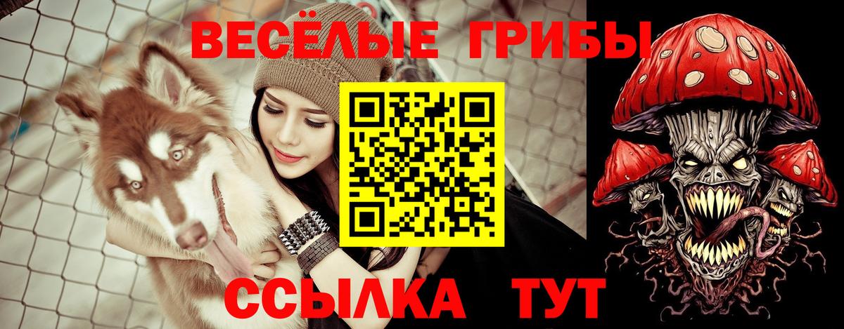 Галлюциногенные грибы прущие грибы  Вход с VPN  Галлюциногенные грибы Cubensis  Королёв 